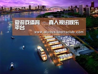案例展示八