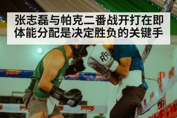 张志磊与帕克二番战开打在即体能分配是决定胜负的关键手