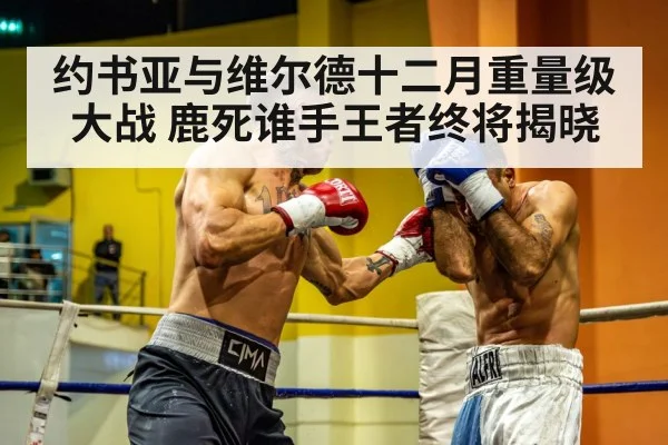 约书亚与维尔德十二月重量级大战 鹿死谁手王者终将揭晓